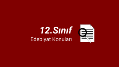 12. Sınıf Türk Dili ve Edebiyatı Konuları (2023-2024) 7 12.sınıf edebiyat konuları