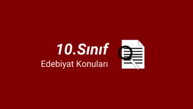10. Sınıf Türk Dili ve Edebiyatı Konuları (2023-2024) 4 10.sınıf edebiyat konuları