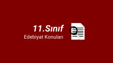 11. Sınıf Türk Dili ve Edebiyatı Konuları (2023-2024) 6 11.sınıf edebiyat konuları