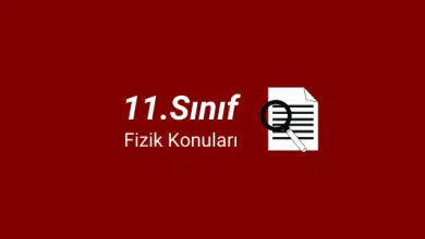 11. Sınıf Fizik Konuları (2023-2024) 5 11.sınıf fizik konuları