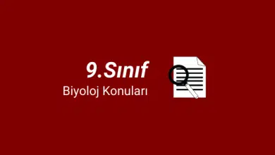 9. Sınıf Biyoloji Konuları (2023-2024) 3 9.sınıf biyoloji konuları