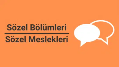 2025 Sözel Bölümleri (TS) ve Sözel Meslekleri 3 sözel bölümleri ve sözel meslekleri