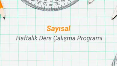 Sayısal Ders Çalışma Programı (Haftalık) 2 sayısal haftalık ders çalışma programı