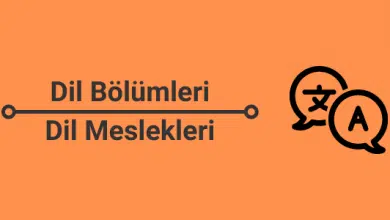 2025 Dil Bölümleri ve Taban Puanları 5 dil bölümleri