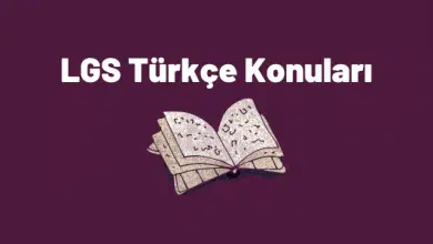 lgs türkçe konuları