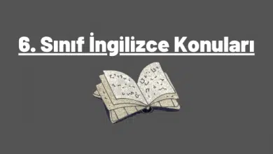 6. Sınıf İngilizce Konuları (2023-2024) 6 6. sınıf ingilizce konuları