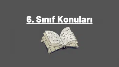 6. Sınıf Konuları ve Müfredatı (2023-2024) 3 6. sınıf konuları