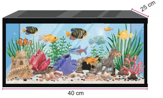 6. Sınıf Matematik Çalışma Kitabı Cevapları Sayfa 201 5 6.sinif matematik calisma kitabi sayfa 201 min