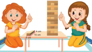 6. Sınıf Matematik Çalışma Kitabı Cevapları Sayfa 205 3 6.sinif matematik calisma kitabi sayfa 205 min