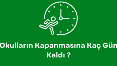 Okulların Kapanmasına Kaç Gün Kaldı ? 5 Okulların Kapanmasına Kça gün Kaldı ?