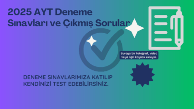 2025 AYT Deneme Sınavları ve Çıkmış Sorular: Başarıya Giden Yol (Alan Yeterlilik Testleri ) 10 2025 AYT Deneme Sınavları ve Çıkmış Sorular